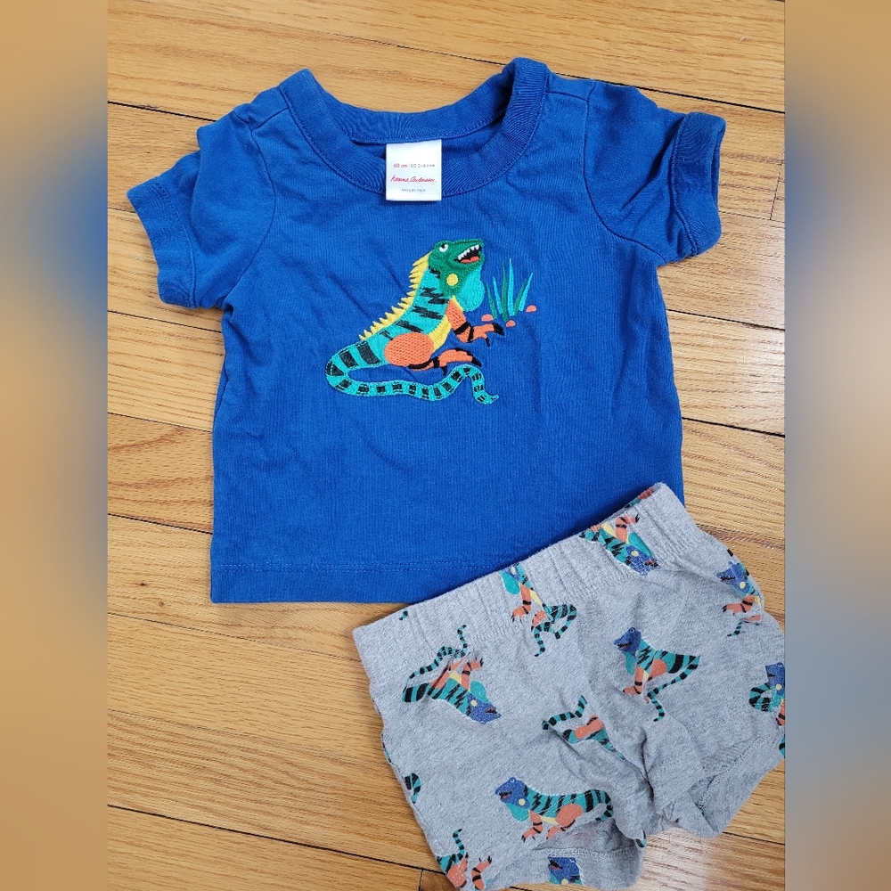 Hanna Andersson Iguana Tee Shorts
